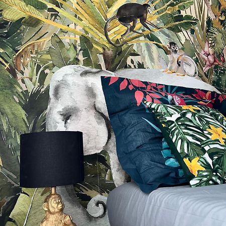 Studio Tropical , Vierzon , Proche Gare , Tout Confort ภายนอก รูปภาพ